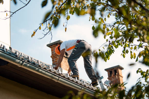 Best Roof Leak Repair  in Eidson Road, TX