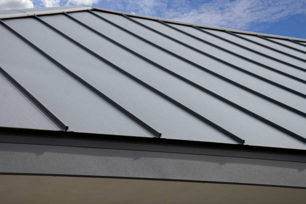 Best Roof Maintenance and Cleaning  in Eidson Road, TX