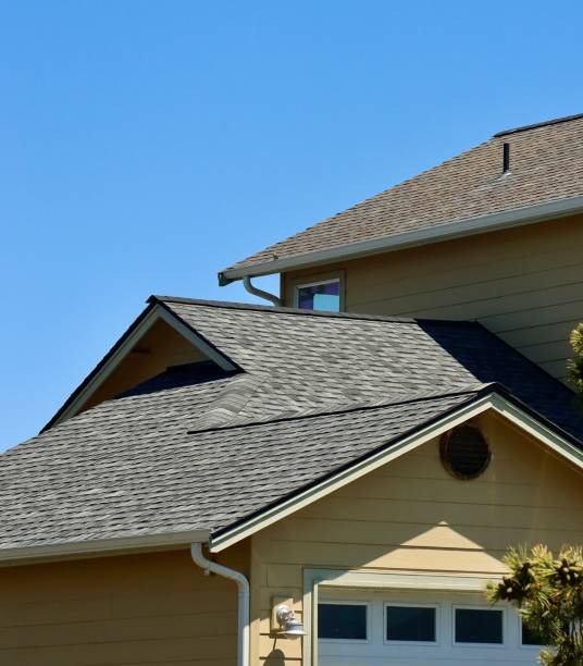 Best Roof Ventilation Installation  in Eidson Road, TX